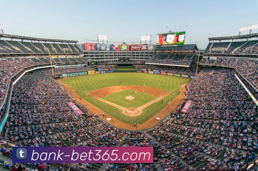 bet365平台生态图